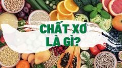  Chất xơ là gì, có mấy loại? Vai trò và cách bổ sung chất xơ an toàn nhất 