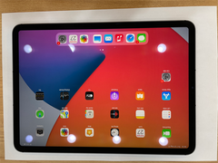  Máy tính bảng iPad Pro 11 2021 Wifi Cellular 256GB Space Grey 