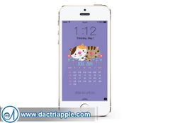 iPhone 5S care center