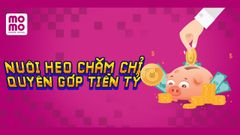  Cách chăm heo, nuôi heo vàng ủng hộ miền Trung bằng MoMo chi tiết, dễ dàng 