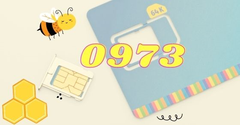  Đầu số 0973 là mạng gì? Ý nghĩa của đầu số 0973? Có phải là số đẹp? 