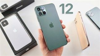 Dòng iPhone 12 có thể được phát hành theo 2 giai đoạn, các model màn hình 6.1 inch sẽ lên kệ đầu tiên