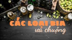  Tổng hợp các loại bia ngon đang được ưu chuộng trên thị trường 