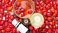  Quả tầm xuân là gì? Quả tầm xuân có tác dụng gì, mua ở đâu và giá thế nào? 