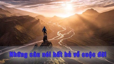 99+ Câu nói bất hủ về cuộc đời đáng suy ngẫm nhất
