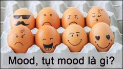  Mood, tụt mood là gì? Phân biệt Mood và Feeling 