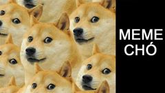  Tổng hợp 80+ meme Chó cầm súng, khóc, hài hước, bựa, đáng yêu, tức giận 