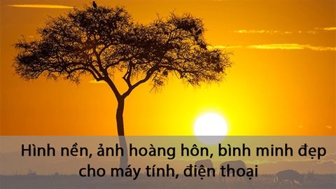 100+ Hình nền, ảnh hoàng hôn, bình minh đẹp cho máy tính, điện thoại