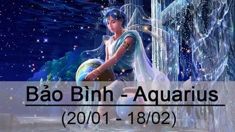 Bảo Bình - Aquarius (20/01 - 18/02) | Tình yêu, tính cách, sự nghiệp