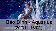  Bảo Bình - Aquarius (20/01 - 18/02) | Tình yêu, tính cách, sự nghiệp 