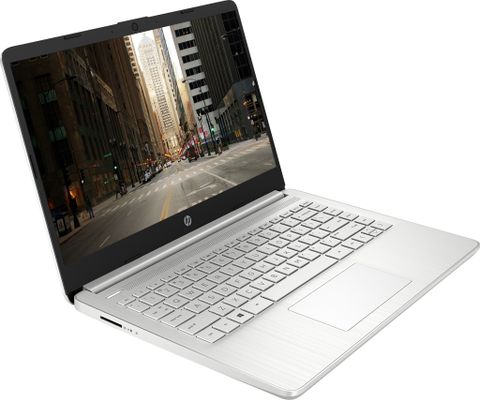 HP Notebook 14S-DQ1020TU 8QN33PA