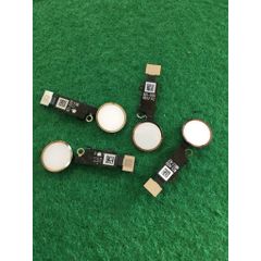  Cách sửa nút home iPhone 7 Plus 