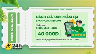 Tham gia đánh giá sản phẩm trên Trung Tâm Bảo Hành, nhận liền tay phiếu mua hàng 40K, đơn giản quá nè bạn ơi!