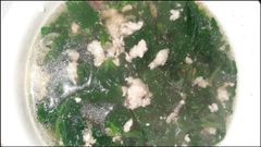  Cách nấu canh mồng tơi thịt băm đơn giản tại nhà cho bữa cơm thanh đạm 