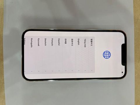 Điện thoại iPhone 12 Pro Max 256GB Silver
