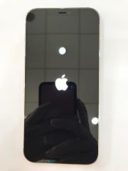  Điện thoại iPhone 12 Pro Max 256GB Silver (mã sp: #32711470) 