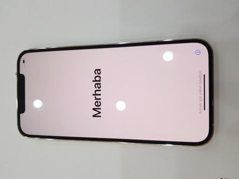 Điện thoại iPhone 12 Pro Max 256GB Silver (mã sp: #34050533)
