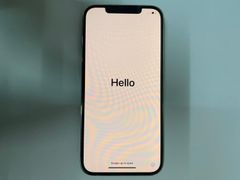  Điện thoại iPhone 12 Pro Max 256GB Silver (mã sp: #33754776) 