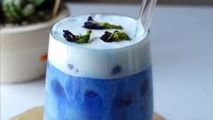  2 cách làm trà sữa hoa đậu biếc hot hit siêu đẹp mắt, ngọt ngào hấp dẫn 