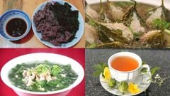  Khổ qua rừng làm món gì ngon? Tổng hợp 10 cách chế biến khổ qua rừng dễ làm 