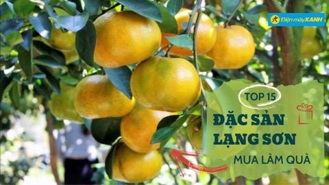 Top 15 đặc sản Lạng Sơn làm quà tặng nổi tiếng làm bao người đê mê