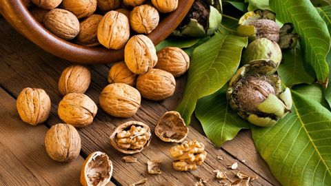 Cách chọn mua hạt óc chó, cách tách hạt óc chó và bóc vỏ lụa của hạt óc chó
