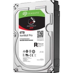  Hdd Seagate Ironwolf Pro 6Tb 3.5'' Sata 7200Rpm 256Mb Cache 