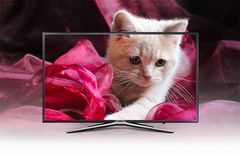  Smart Tivi Samsung 49 inch UA49M5503 