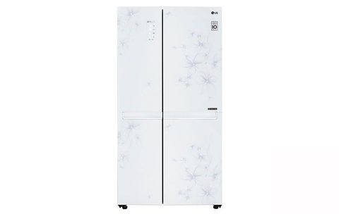 Tủ lạnh LG 626 lít GR-B247JP
