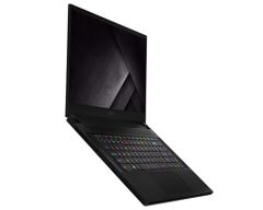  MSI GS66 Stealth 10SE-213VN 