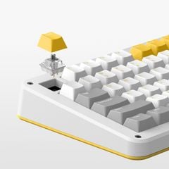  Bàn phím cơ IQUNIX ZX75 GRAVITY WAVE RGB TTC Speed Silver Switch 