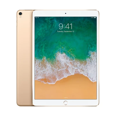  iPad Pro 10.5 Cũ 256GB 4G+Wifi 