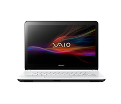  Sony Vaio Fit 15E (Svf-15215Sn) 