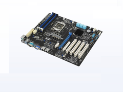  Mainboard Asus P10S-X Workstation 