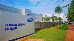  Không mua đủ màn hình OLED, Apple phải trả cho Samsung 950 triệu USD, nhà Táo có thiệt thòi không nhỉ? 