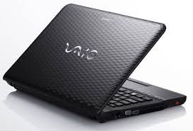 Camera Sony Vaio Vpc-Eh38Fh/B