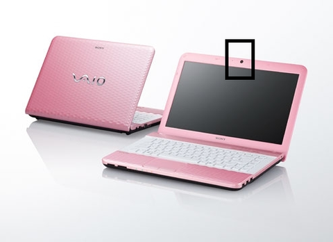 Camera Sony Vaio Vpc-Eg38Fg/P