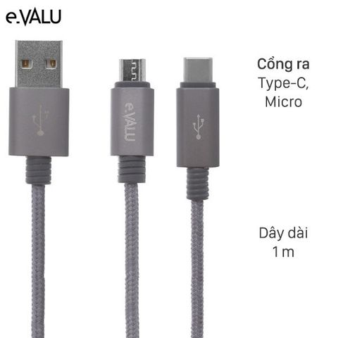 Cáp 2 đầu Type C Micro 1m eValu Spanker B