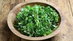  Xà lách xoong - rau cải xoong Nhật là gì? 7 tác dụng của rau cải xoong 
