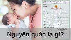  Nguyên quán là gì? Phân biệt Nguyên quán và Quê quán 