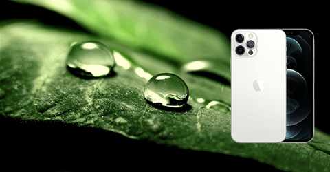 Cách chụp ảnh Macro trên iPhone 12, 12 Pro, 12 Pro Max xinh lung linh