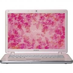  Sony Vaio Vgn-Cr116E/P 