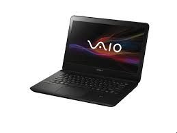 Sony Vaio Svf1421Dsgw E1