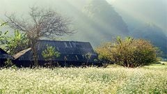  Top 15 địa điểm du lịch Mộc Châu Sơn La đẹp quên lối về 