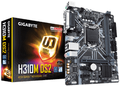  Mainboard Gigabyte H310m-ds2 