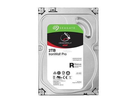 Seagate Ironwolf Pro 2Tb St12000Ne0007