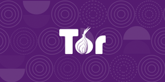  Trình duyệt Tor bị Trojan nhắm mục tiêu đến người Nga bằng phần mềm độc hại đánh cắp tiền điện tử 