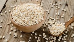  Lúa mạch là gì? Lúa mạch có tác dụng gì? Phân biệt lúa mạch và lúa mì 