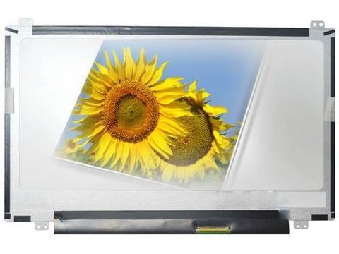 Màn Hình Lcd Lenovo Ideapad 305-15Abm