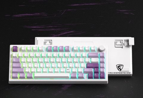 Bàn phím cơ FL ESPORTS GP75CPM TARO PURPLE TTC Neptune Switch